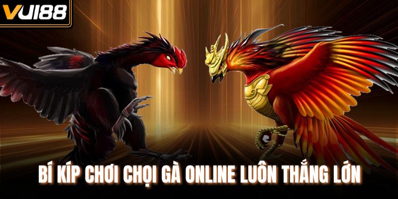 Bí kíp chơi chọi gà online luôn thắng lớn