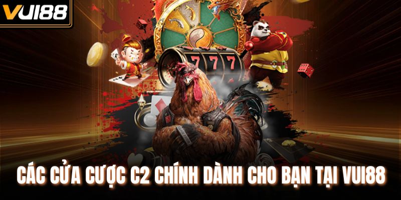 Các cửa cược C2 chính dành cho bạn tại VUI88