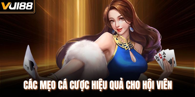Các mẹo cá cược hiệu quả cho hội viên