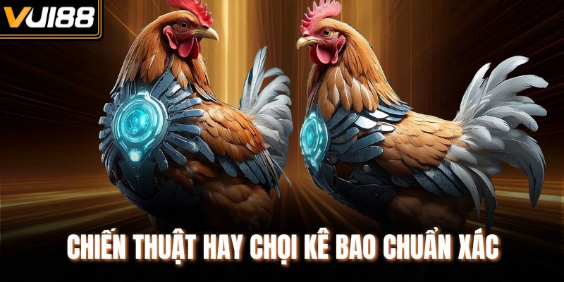 Chiến thuật hay chọi kê bao chuẩn xác