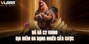 Đá Gà C2 VUI88 - Địa Điểm Đa Dạng Nhiều Cửa Cược