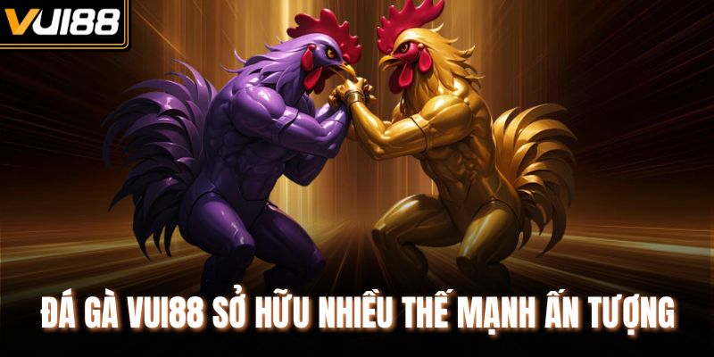 Đá gà VUI88 sở hữu nhiều thế mạnh ấn tượng