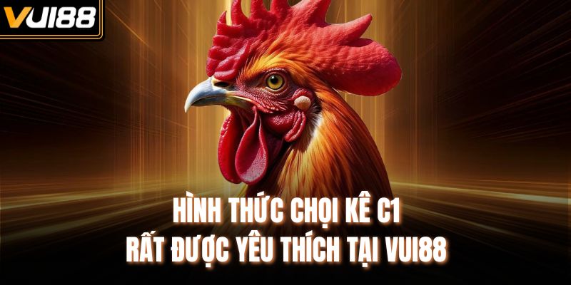 Hình thức chọi kê C1 rất được yêu thích tại VUI88