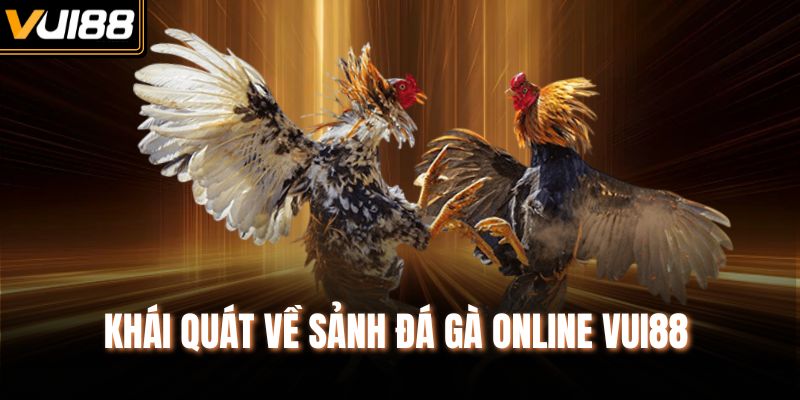 Khái quát về sảnh đá gà Online Vui88