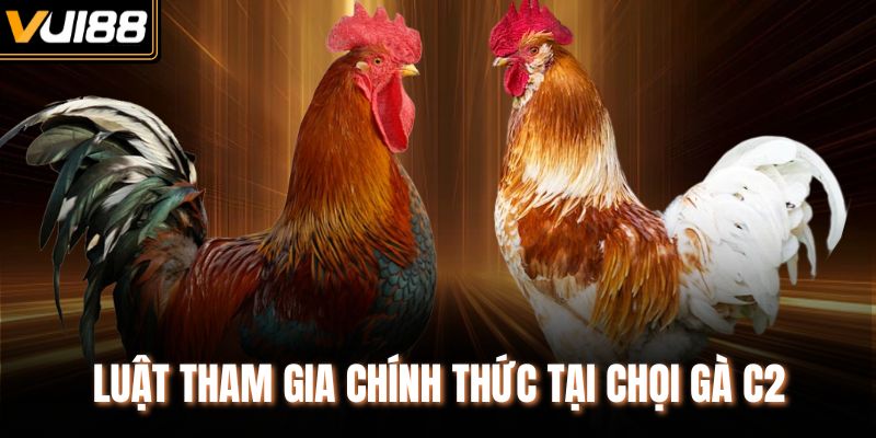 Luật tham gia chính thức tại chọi gà C2