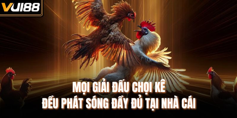 Mọi giải đấu chọi kê đều phát sóng đầy đủ tại nhà cái