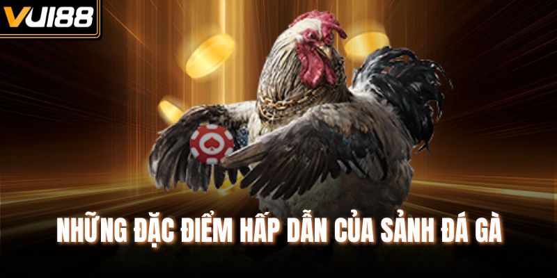 Những đặc điểm hấp dẫn của sảnh đá gà