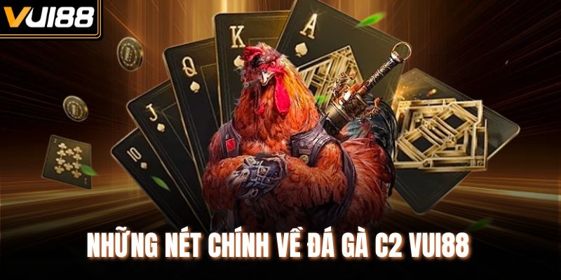Những nét chính về đá gà C2 VUI88 