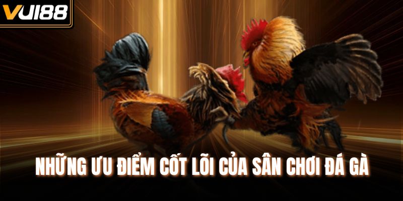 Những ưu điểm cốt lõi của sân chơi đá gà