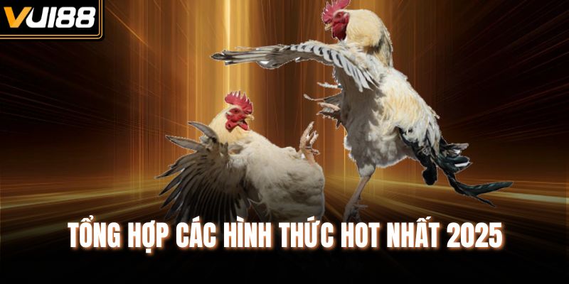 Tổng hợp các hình thức hot nhất 2025