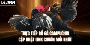Trực Tiếp Đá Gà Campuchia - Cập Nhật Link Chuẩn Mới Nhất